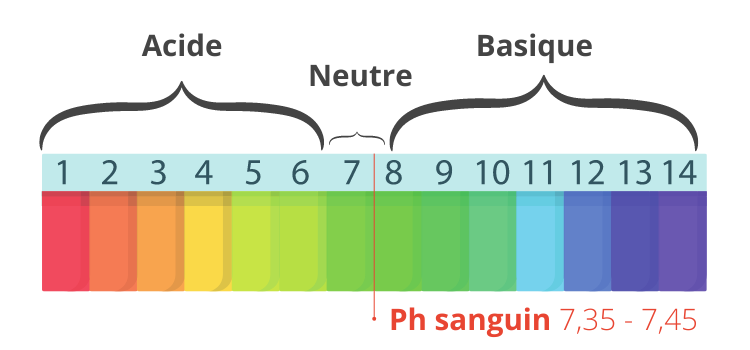 Potassium : ce minéral essentiel trop souvent oublié